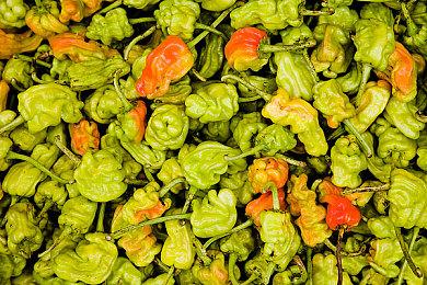 新专利信息显示索尼PS5有望向下兼容更多PS老游戏